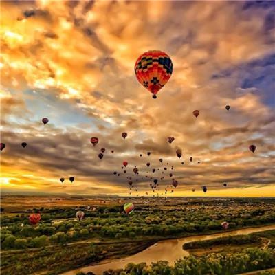 亚博·yabo手机app下载截图